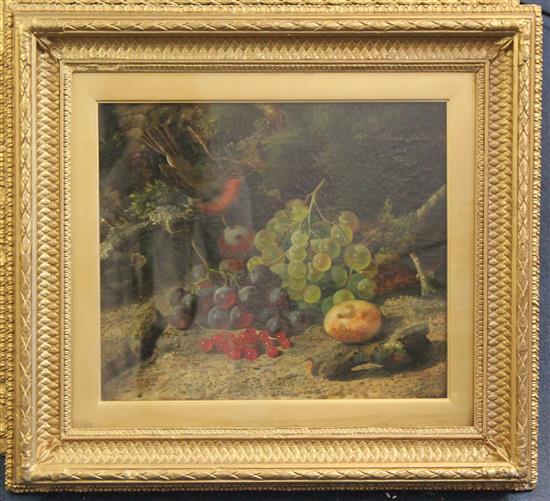 William Duffield (1816-1863) Still lifes of blue tits, grapes, redcurrants and a robin, 11.5 x 13.5in.